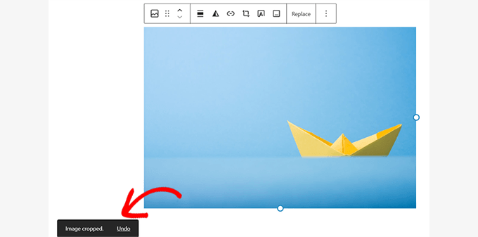 Success notices when images are edited 编辑图像时的成功通知